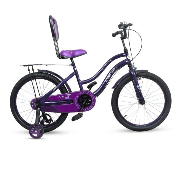 Technical Specification Single Speed Steel Frame Saddle with Backrest Training Wheels Steel Fender Tyre & Tube Colors Purple Pink