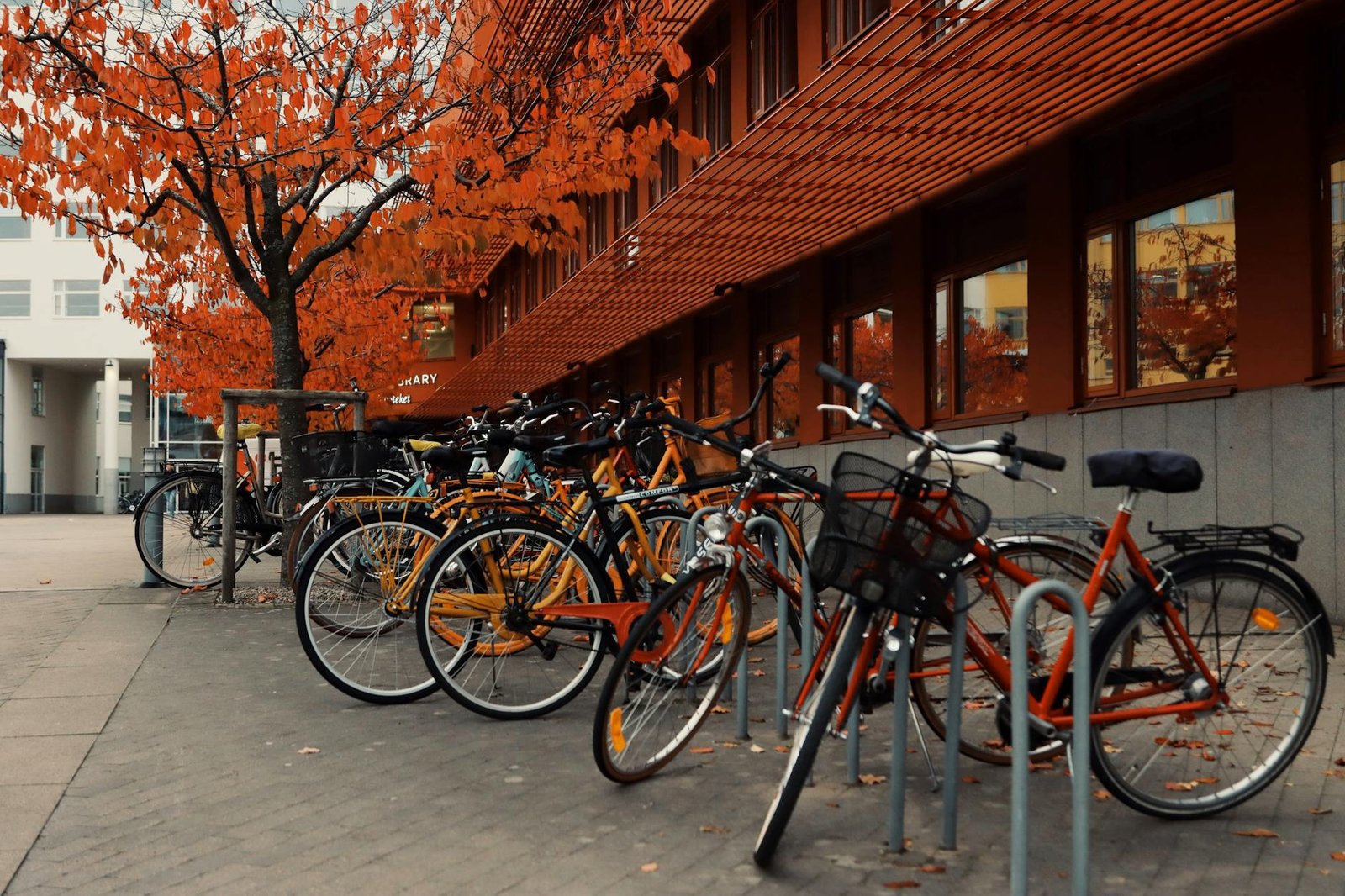 bicycles on a pavement